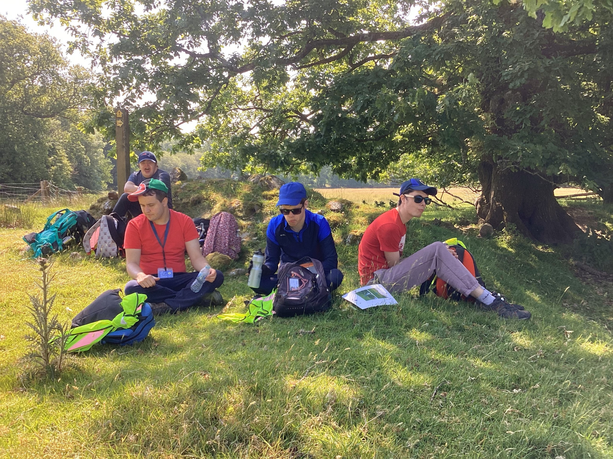 A group of learners under a tree
