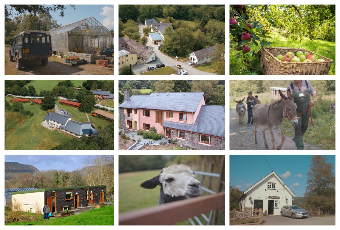 A collage of photos of the community including animals and buildings.