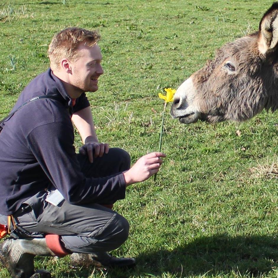 Man with a donkey and daffodil.
