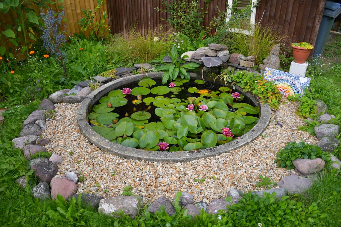 Pond in Victoria House garden