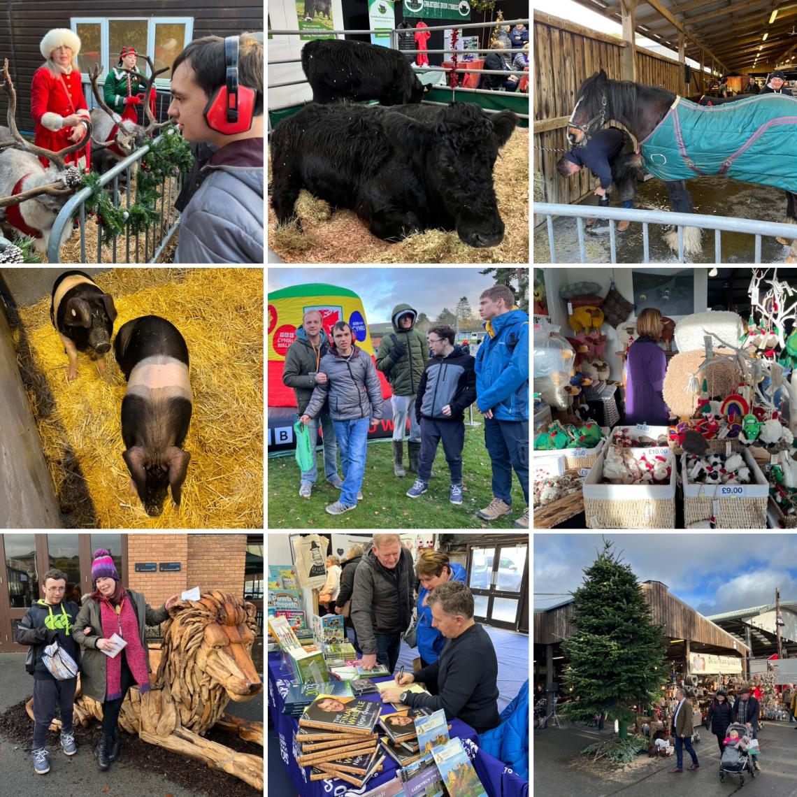 A collage of learners at the Builth Winter Fair. 9 pictures of pigs, bulls, horses, people at craft stalls and having fun. 
