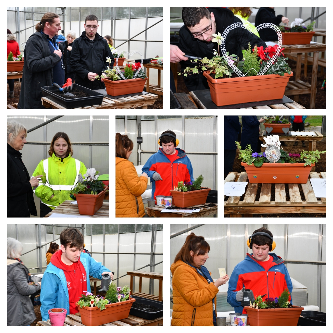 Collage of learners in skills competition