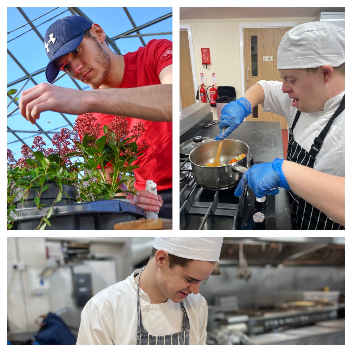 learners in cooking and horticulture