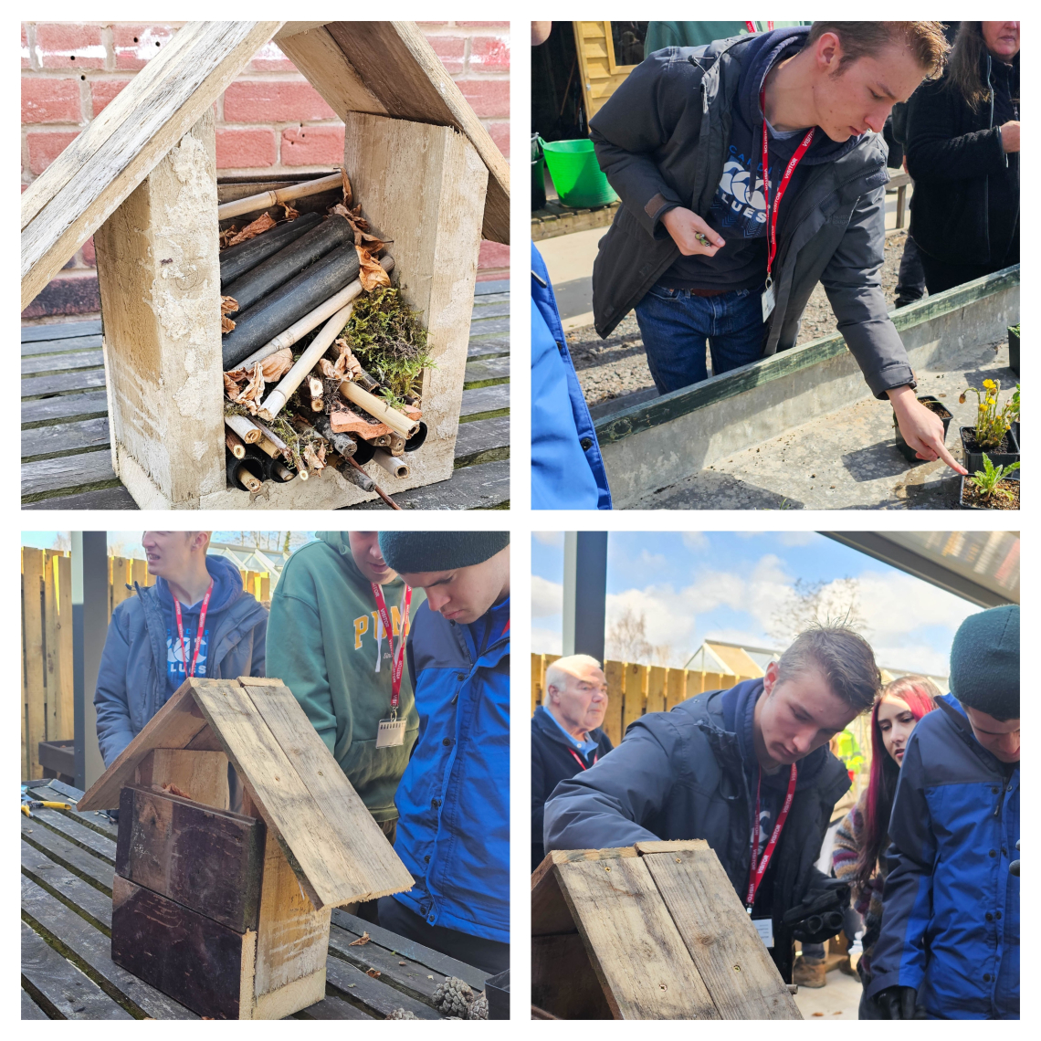 learners taking part in the Eco Challenge competition