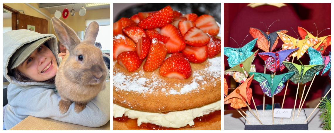 A montage - a young man with a rabbit, a victoria sandwich a craft exhibit