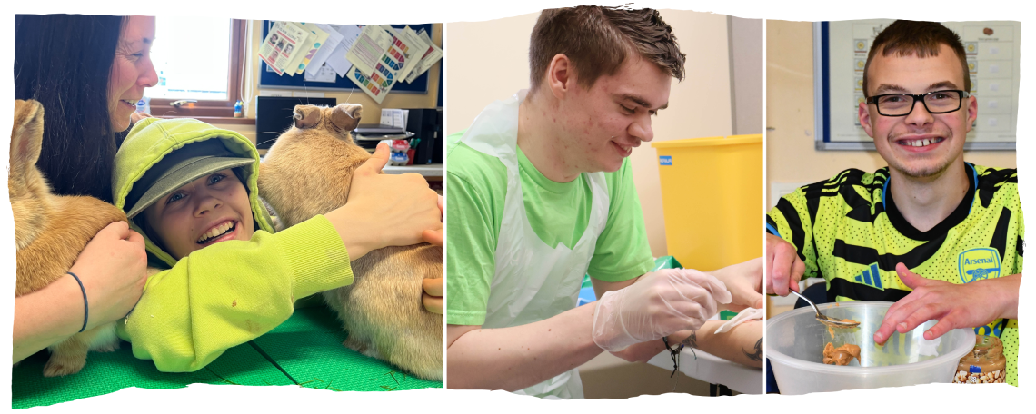 Two people and two rabbits. A young man in a white apron applies first aid. A young man in glasses uses a bowl to cook in