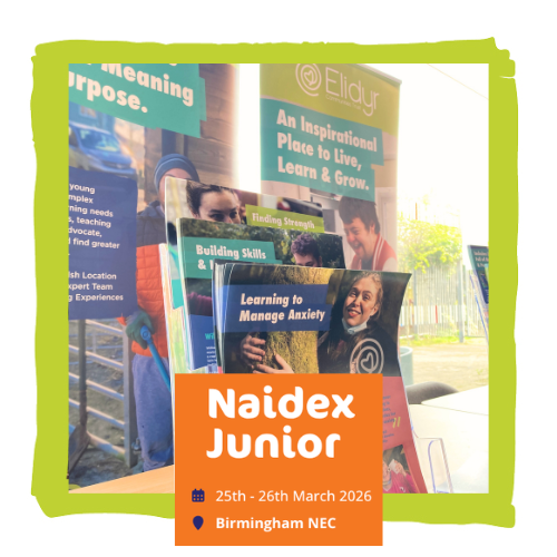Some leaflets on a table - an orange box in front that reads Naidex Junior