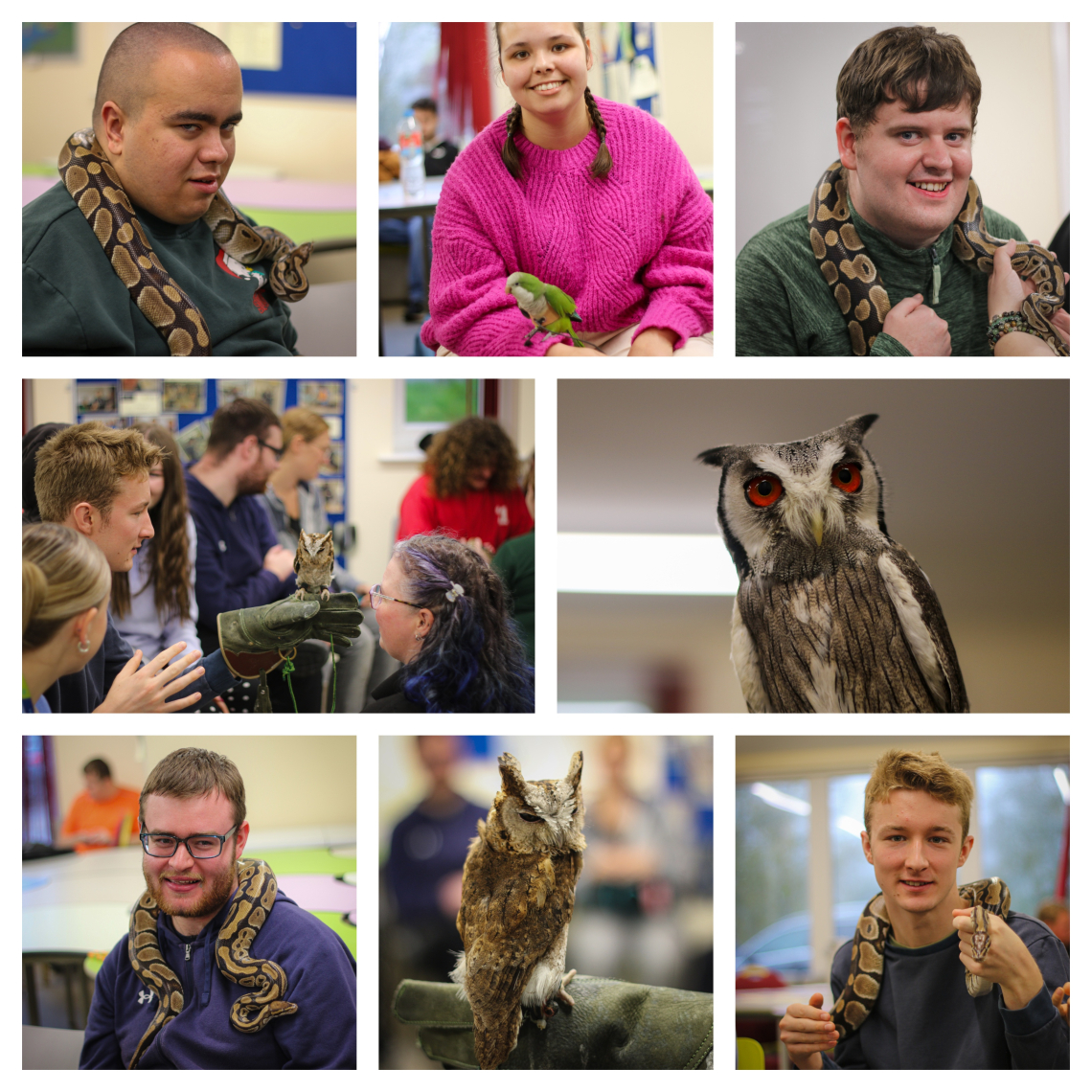 Learners holding different animals