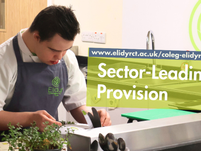 learner in the kitchen