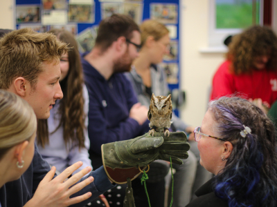 Learner with an owl