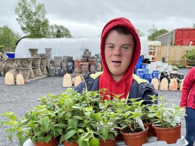 A boy in a red hoodie carrying a tray of plants.