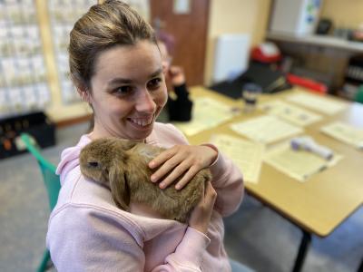 Girl with a rabbit in the classroom