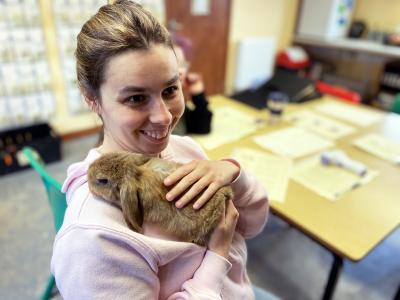 A girl and a rabbit in a classroom at Elidyr Communities Trust