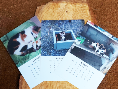 Calendars on a wooden block