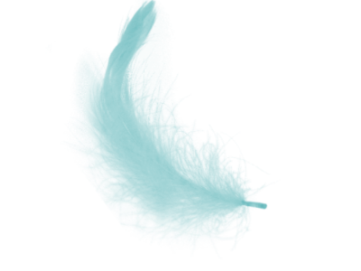 Turquoise feather- Towy Valley Care logo